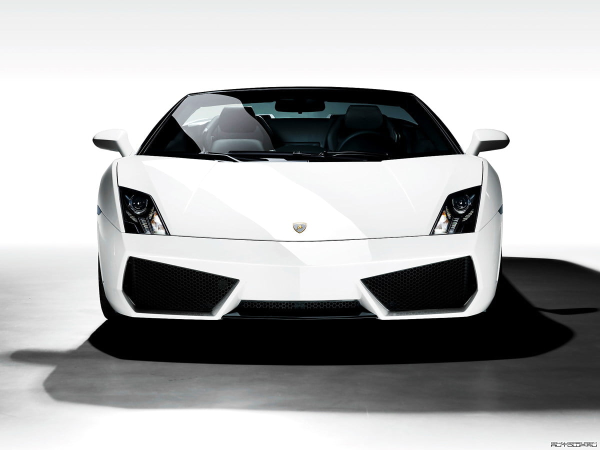 Cars, supercar, Lamborghini, white, Lamborghini Gallardo : free screen wallpaper