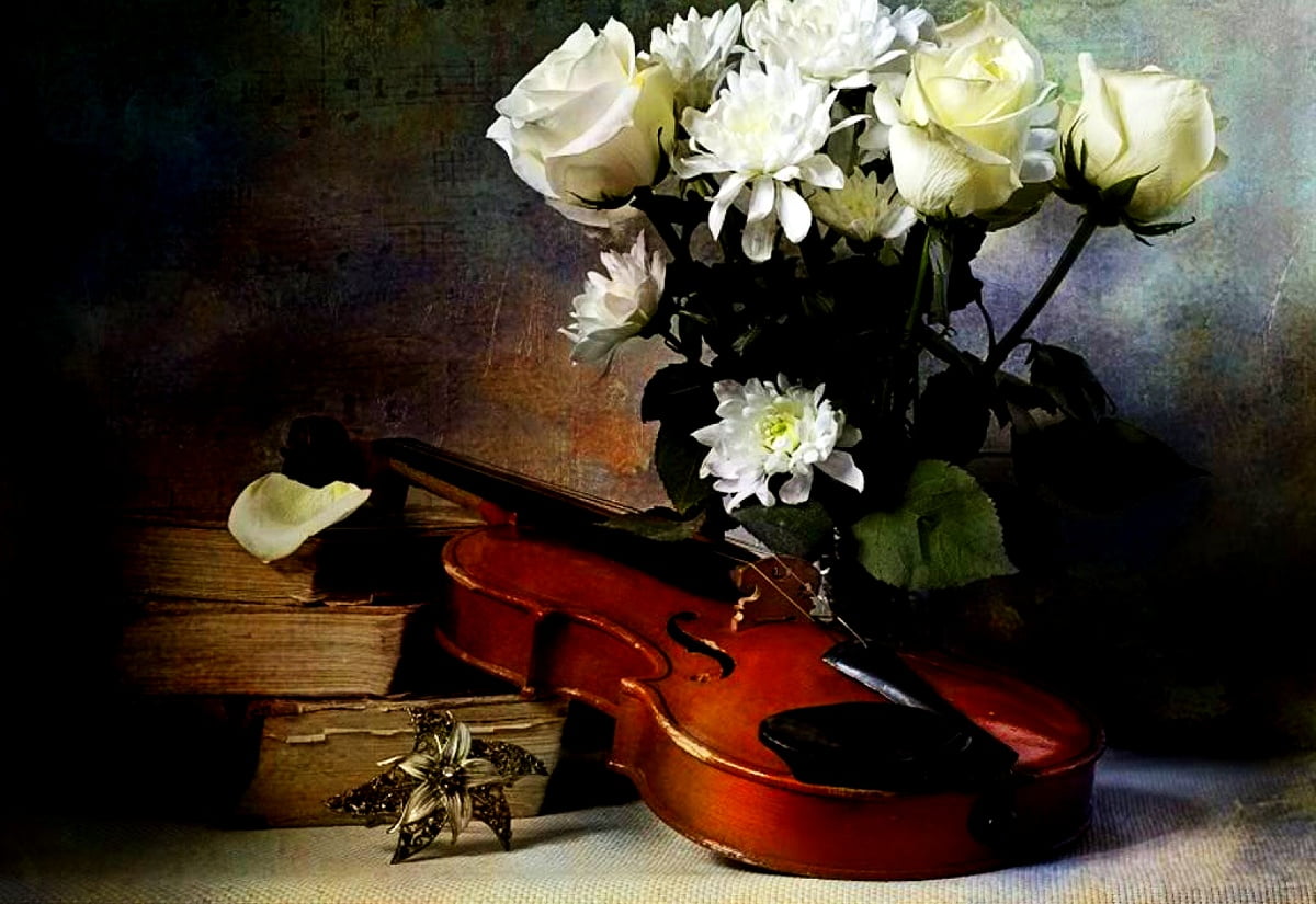 Minimalist Still Life, Flowers, Musical Instrument picture 🔥 TOP Free ...