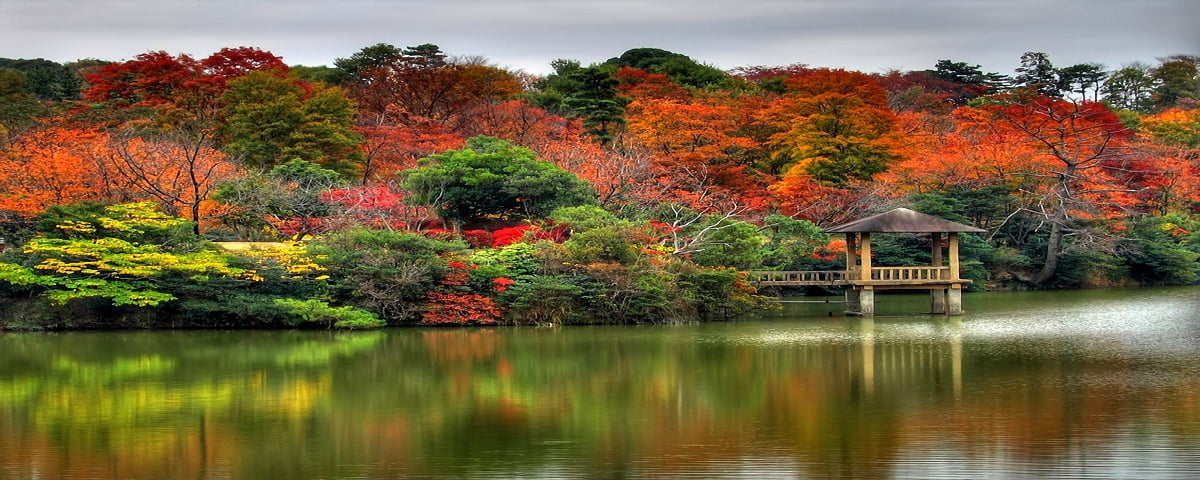 340+ Fondos de pantalla - Otoño HD |Fondos Gratis