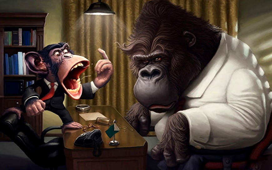 Funny, Animated Cartoon, Chimpanzee background | Best Free Download pictures