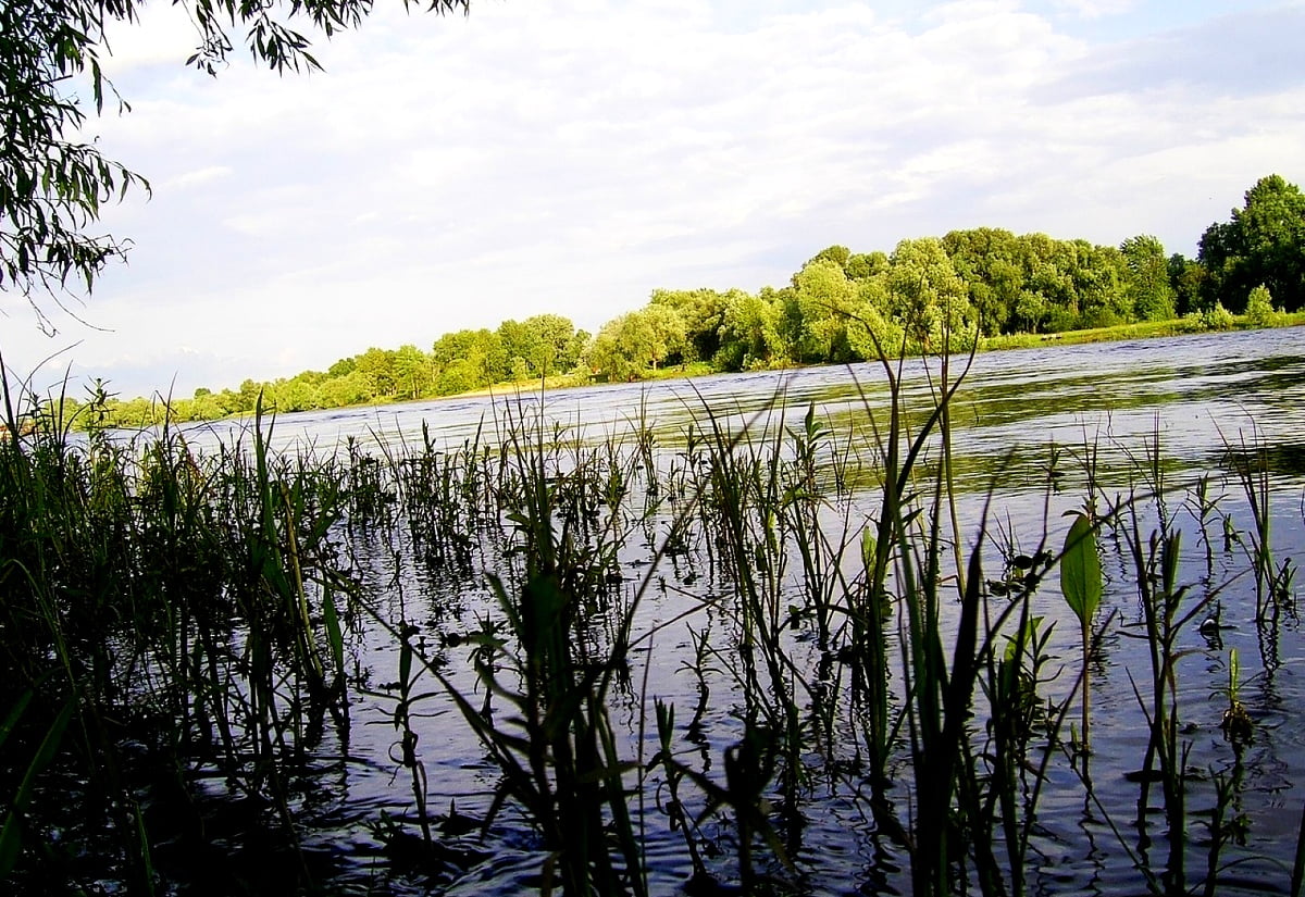 Bakgrunn Elv, Natur, Speilbilde | Beste Gratis bakgrunner