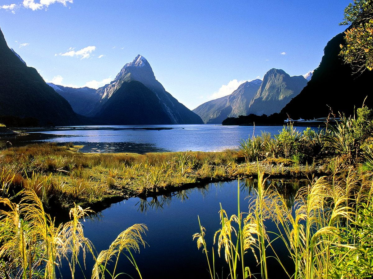 Grande rivière et Milford Sound (Nouvelle-Zélande) / HD image d'arrière-plan