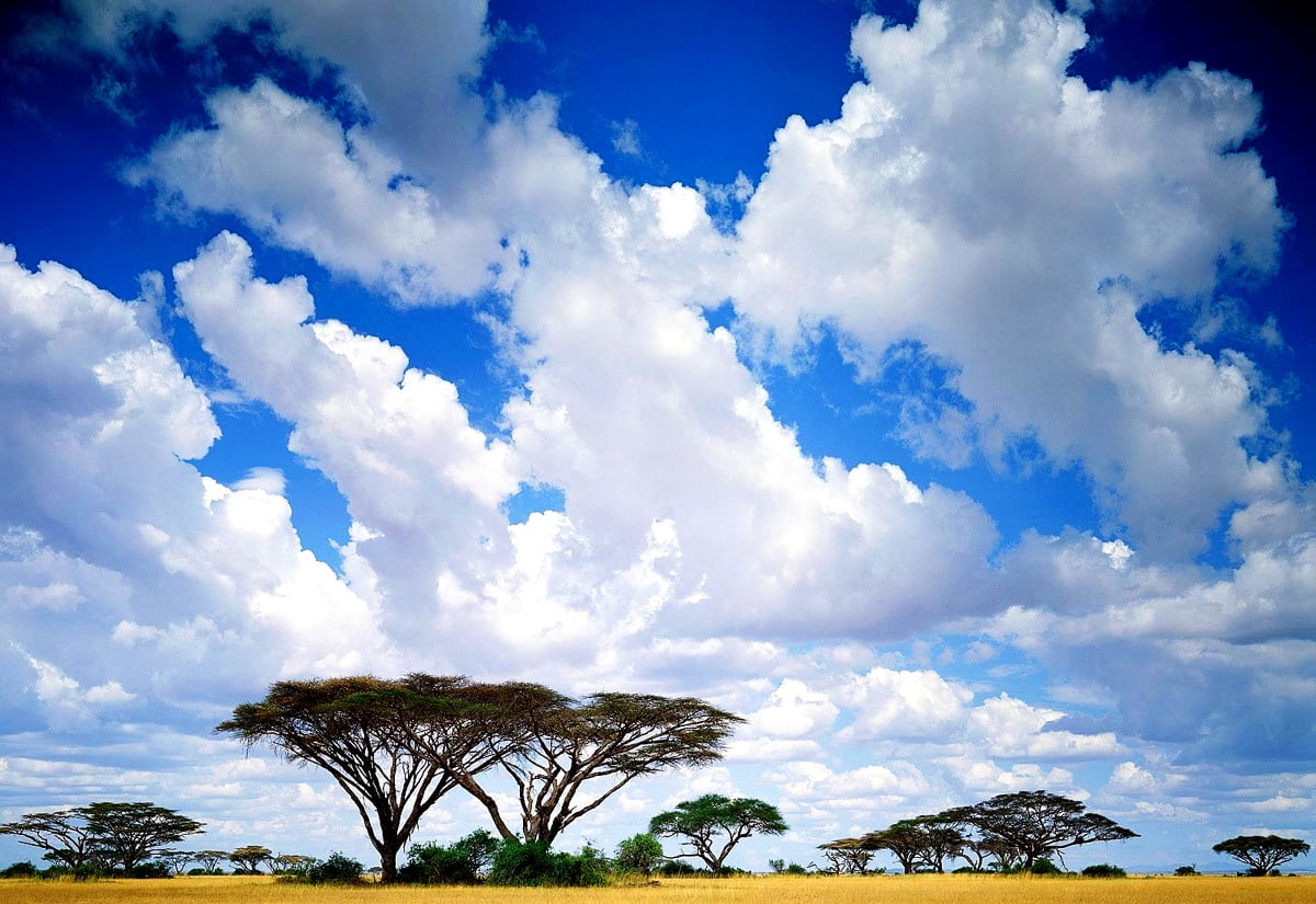 Nuages ​​dans le ciel (Afrique)