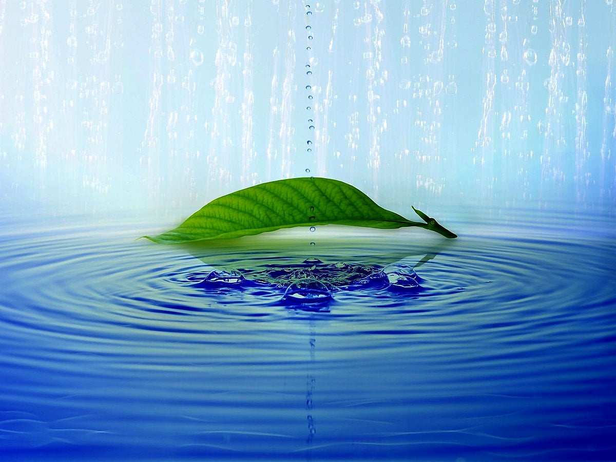Image de fond : bleus, verts, nature, laissez tomber, aqua (1600x1200)