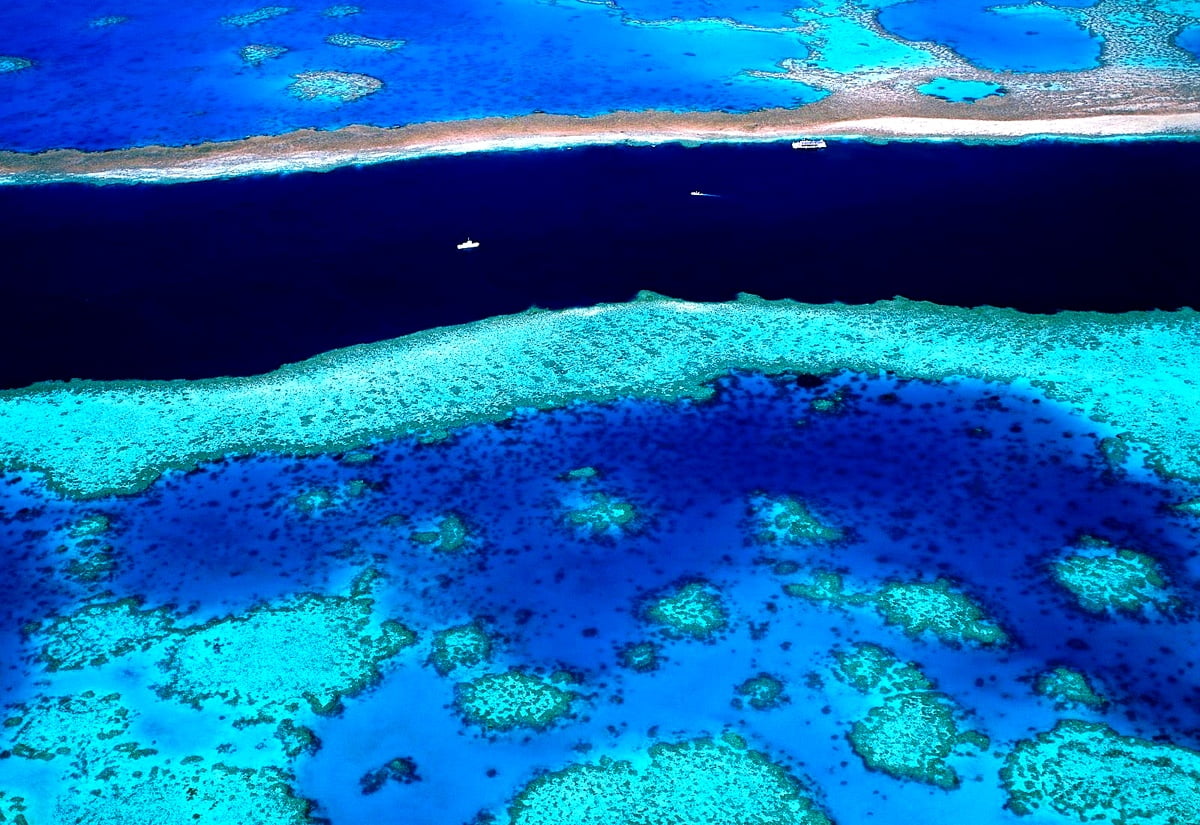 Vague de mer, récif de corail, récif, plage, azur — gratuit image d'arrière-plan 1600x1100