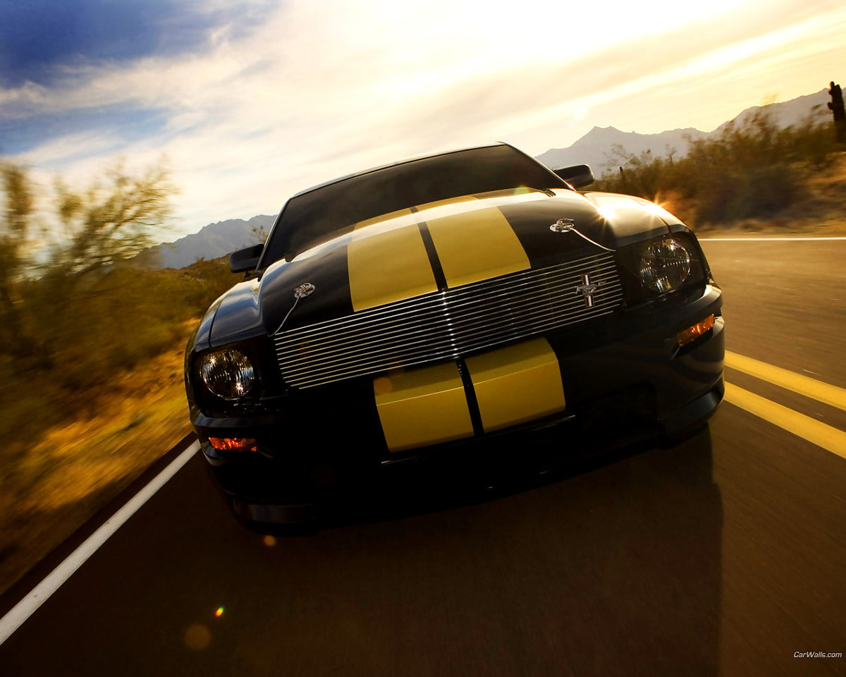 Ford, voitures, Shelby Mustang, coupé, papiers peints jaunes : HD fond d'écran