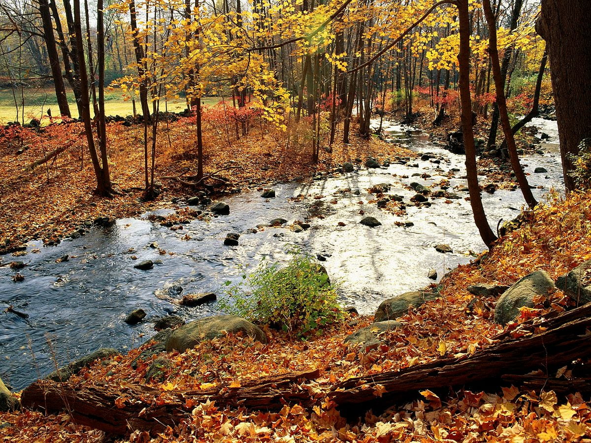 Imagen de fondo pretty Paisaje De Otoño, Naturaleza, Otoño | Foto