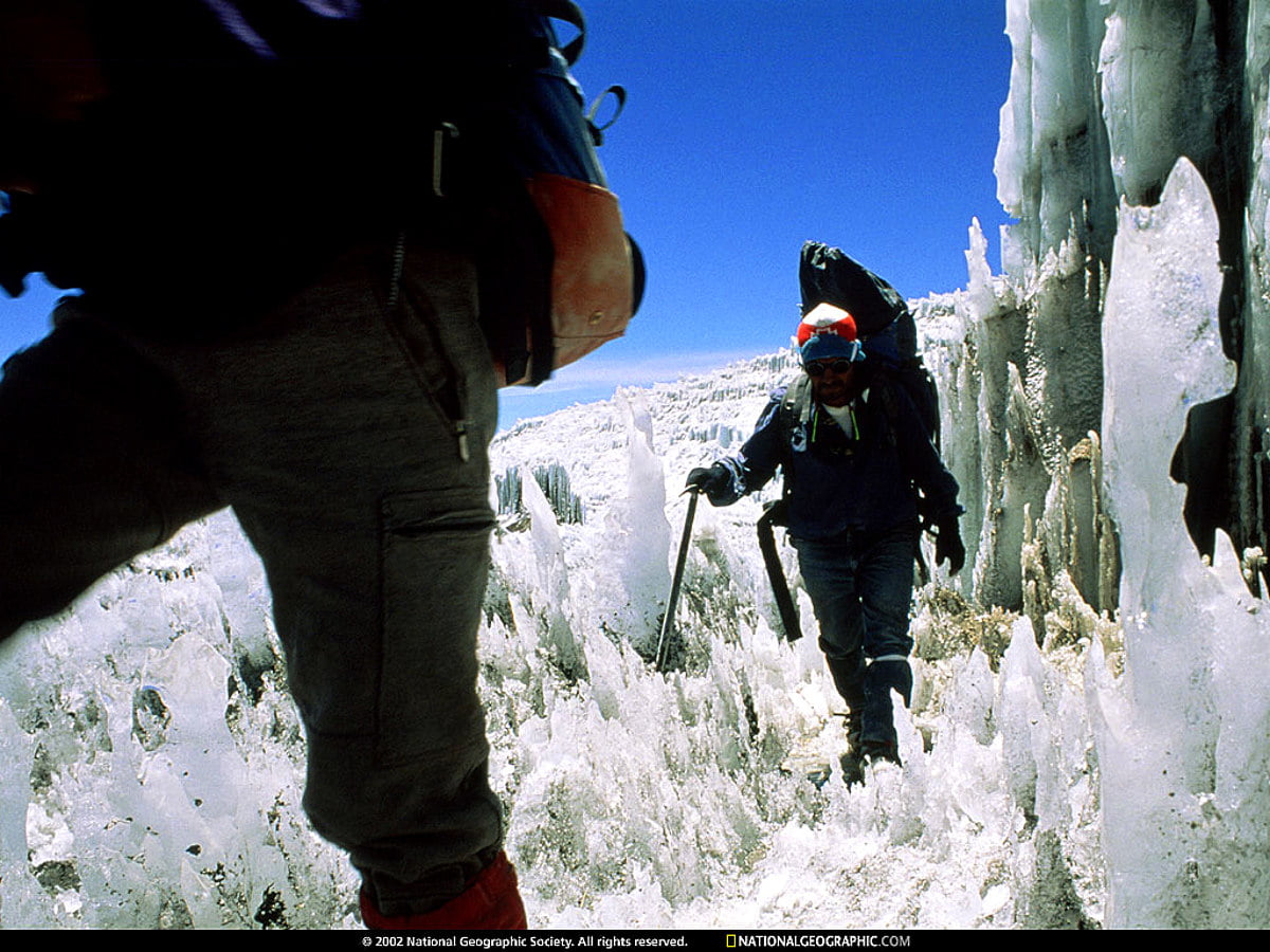 Windows Sport Moments, National Geographic, Nat Geo picture 🔥 Download