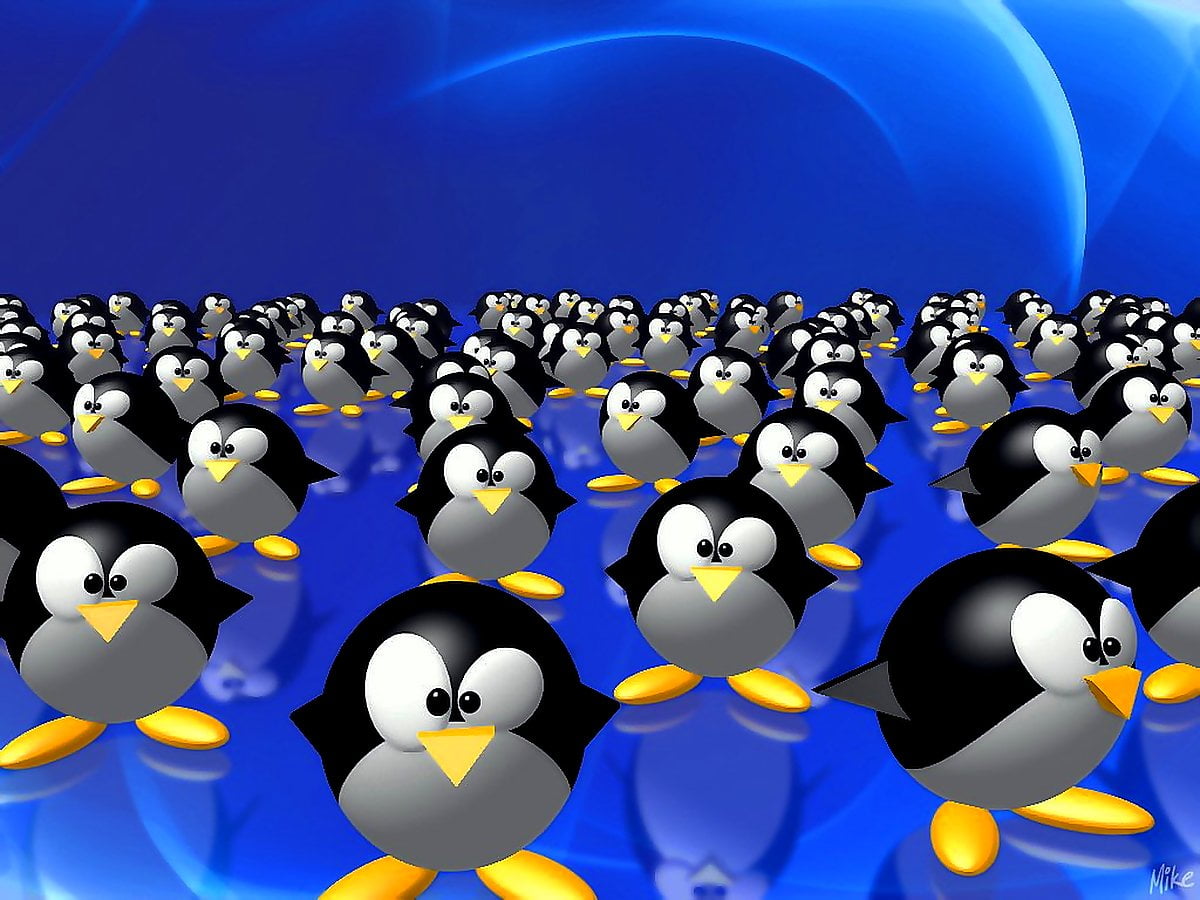 HD background image - Linux, animated cartoon, bird, cartoons, animals 1024x768